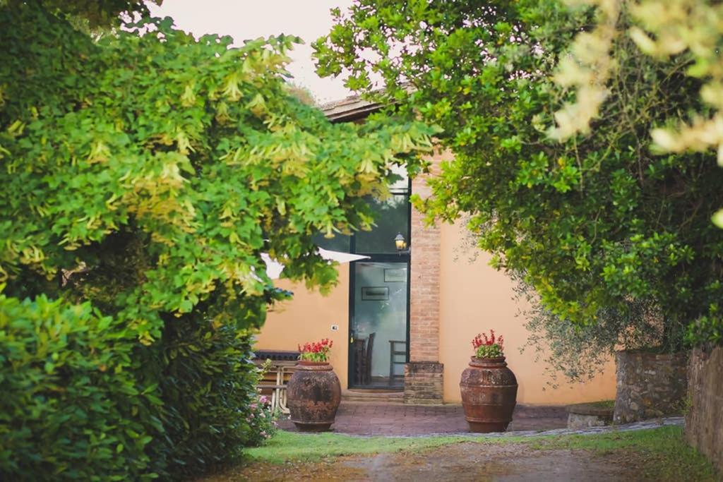 Villa Capannina Vico d'Arbia Eksteriør billede